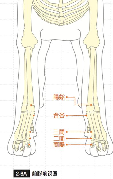 合谷