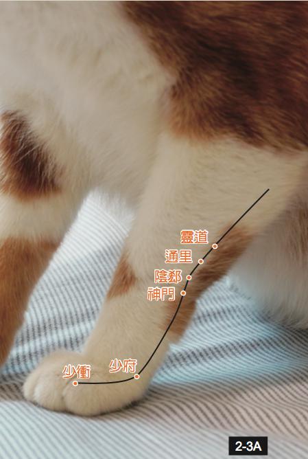 神門
