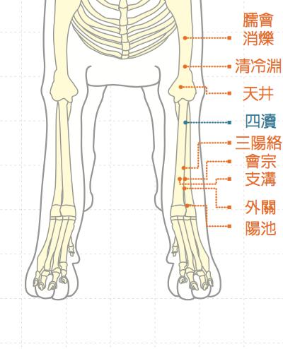 陽池